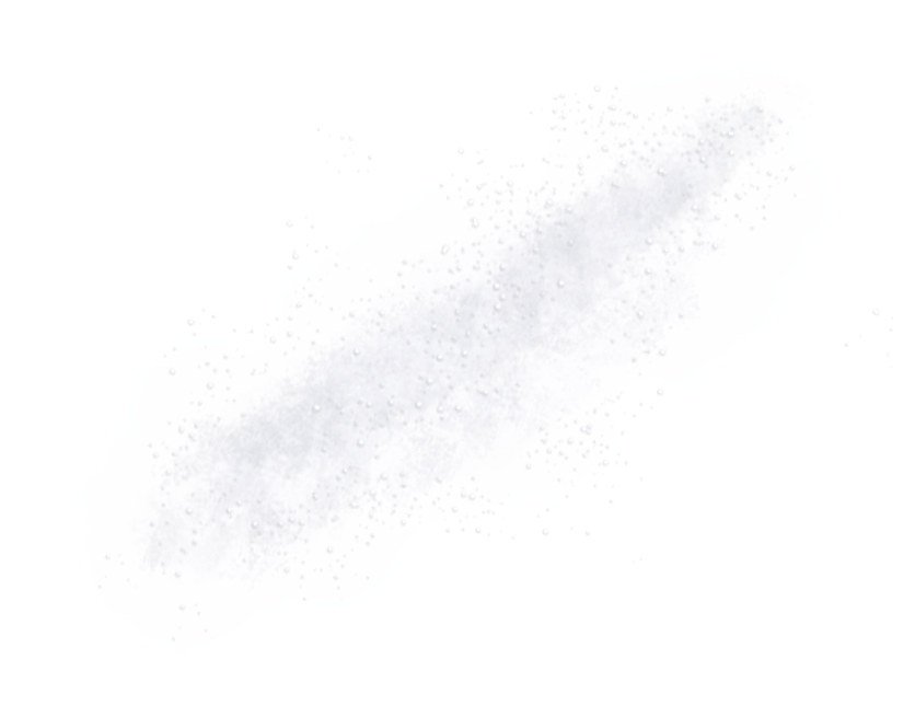 neige02 copy